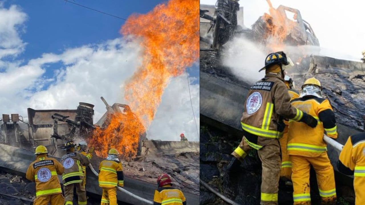 Fotos: web