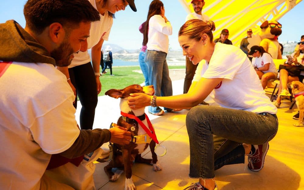 Durante la jornada “Adopta, Emprende y Apoya”, Marina del Pilar promovió la adopción de perros y gatos en el Parque Esperanto, reforzando su política de bienestar animal.