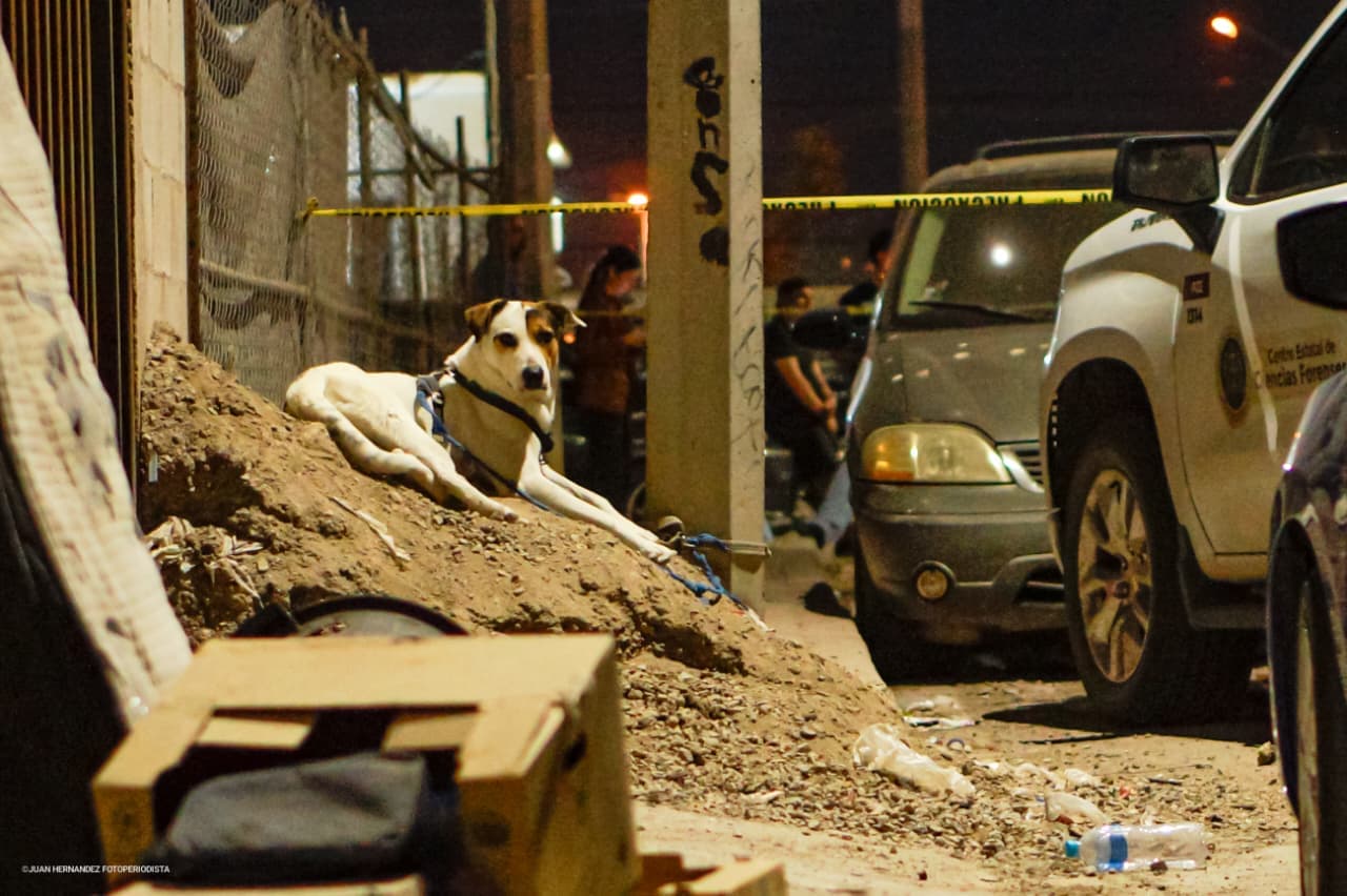 Foto: Border Zoom/Baja News