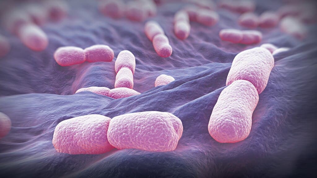 Retiran 400 productos del mercado por contaminación de Listeria IFOTO: Herald Sun