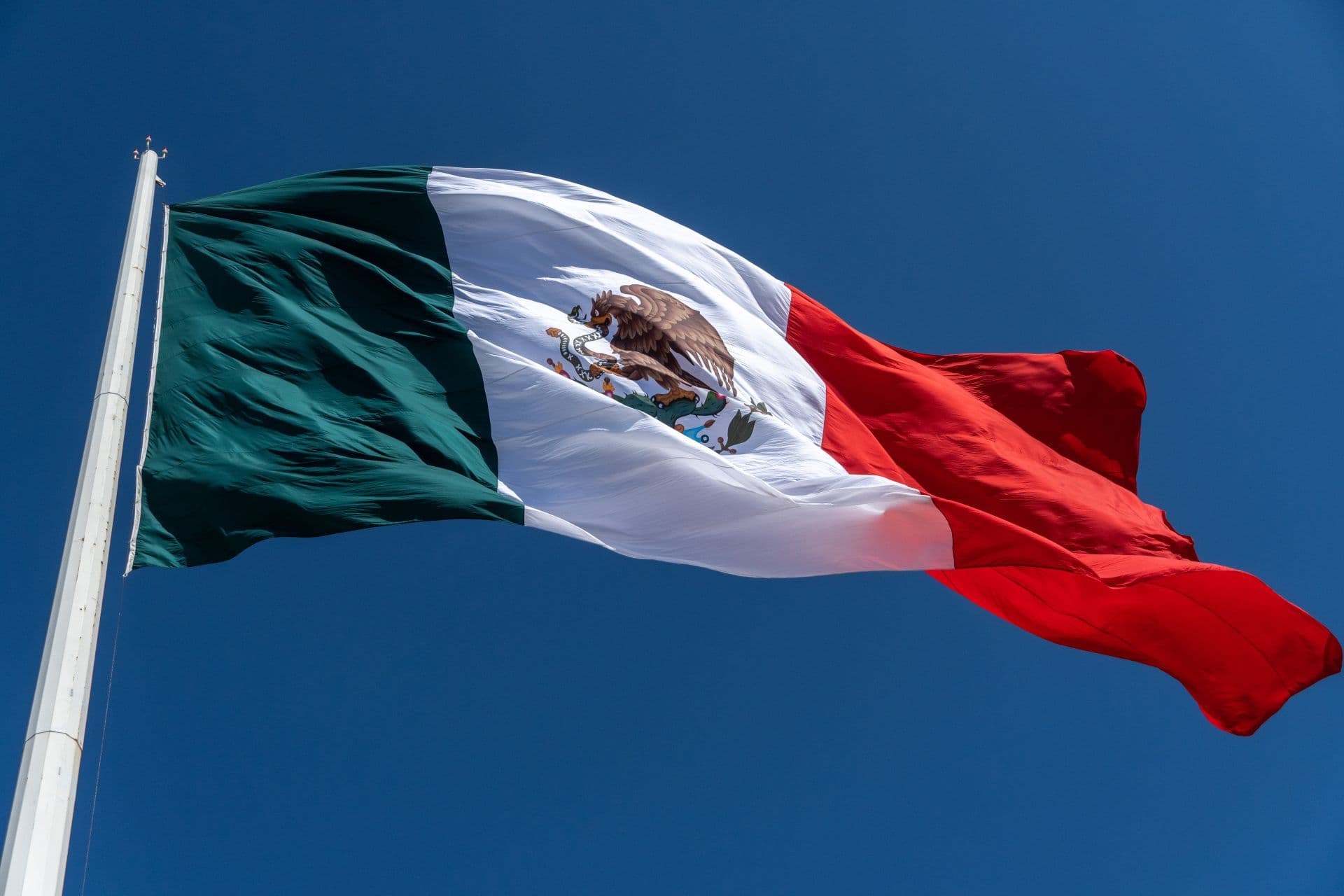 La legisladora del PAN recordó que en 2010 su partido intentó llevar a cabo este cambio. (Senadores del PAN)