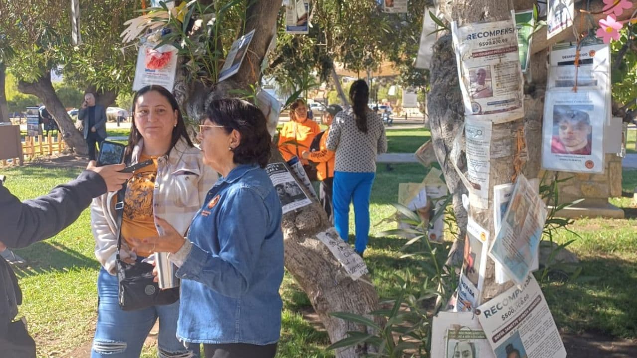 Foto: Baja News