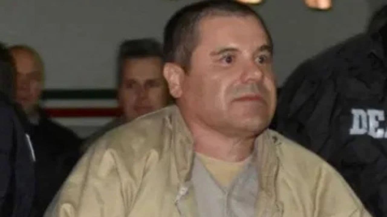 Foto: Web