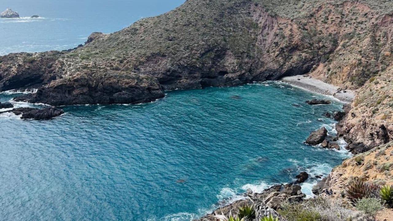 Foto: Baja News