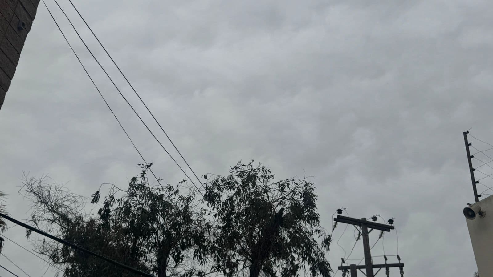 Foto: Baja News
