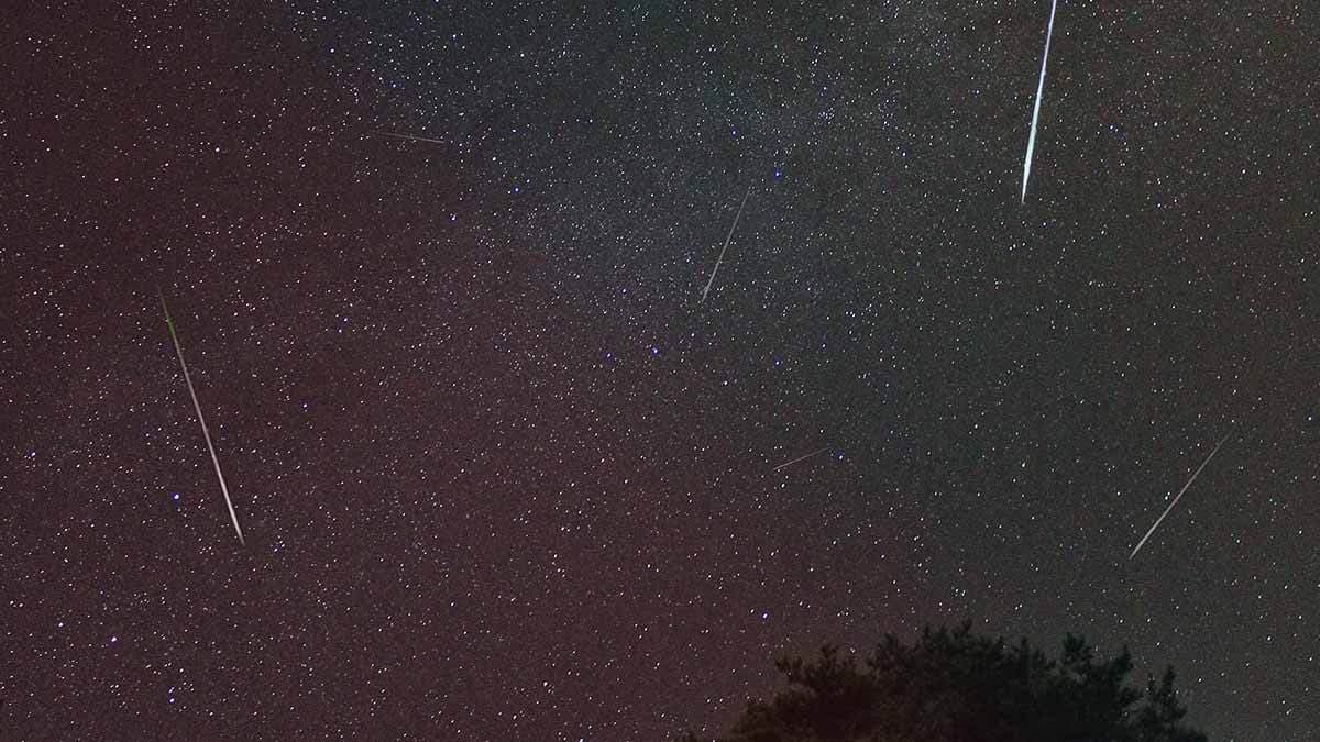 LLUVIA DE ESTRELLAS  IFOTO: Prokhor minin en unsplash
