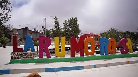 Foto: Web