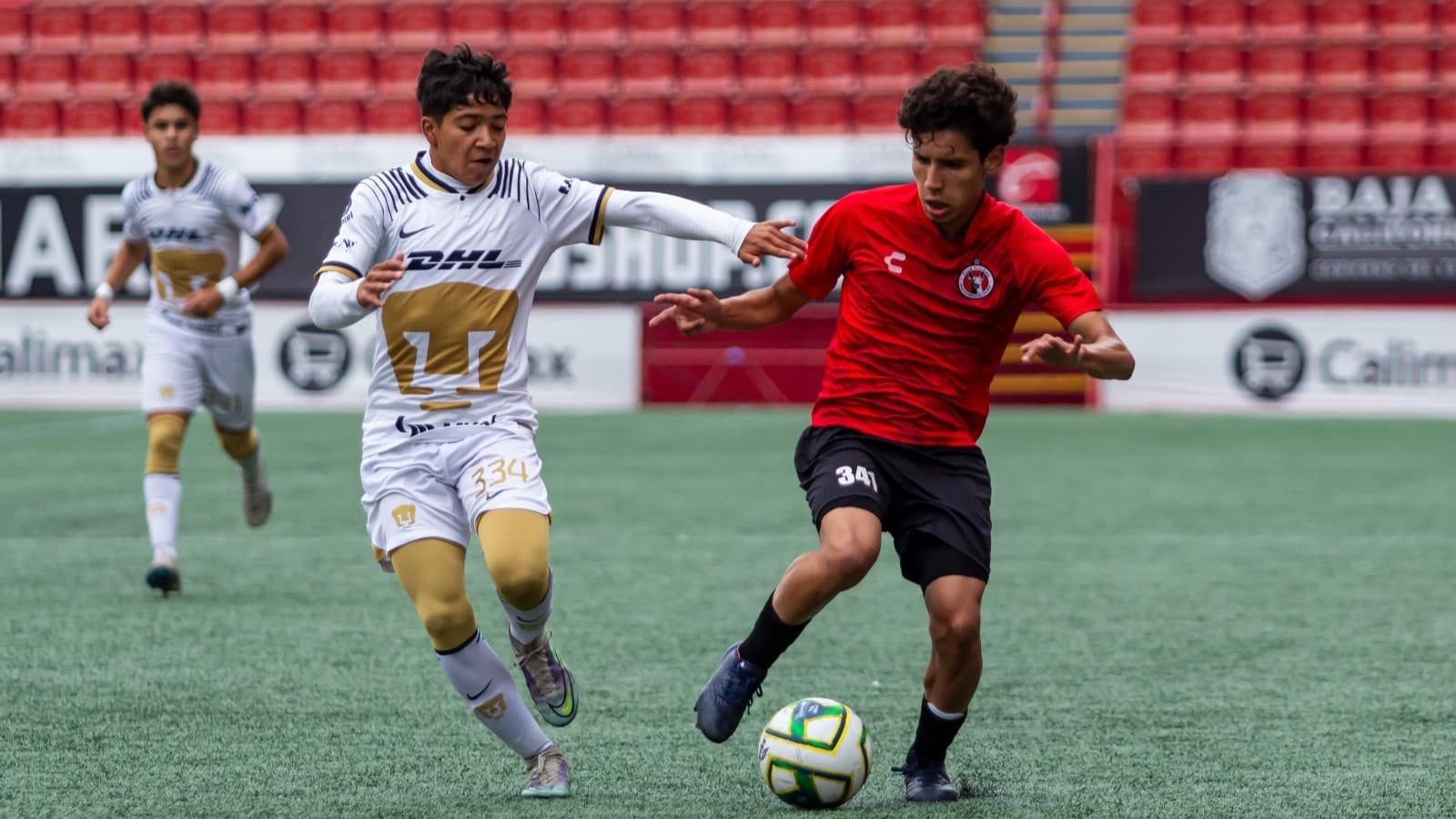 Xolos Suvb14 se instalan en semifinales IFOTO: Cortesía