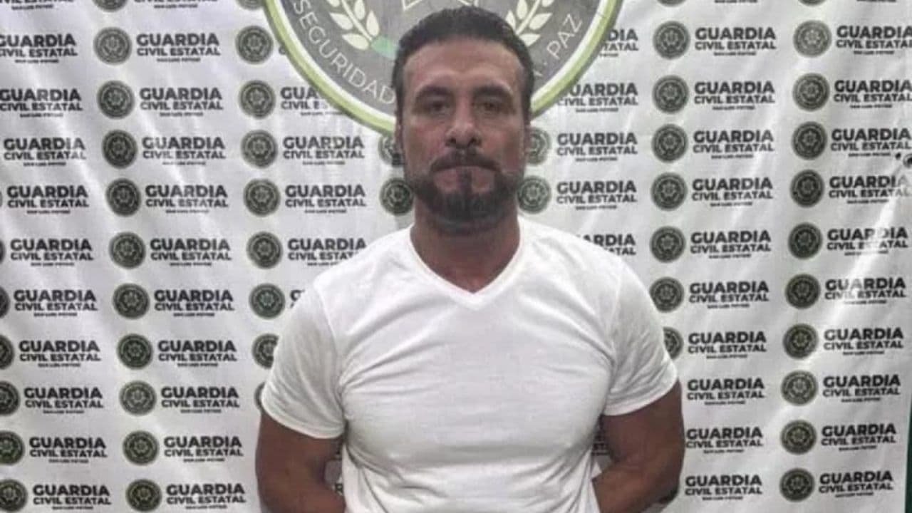 Fotos: web