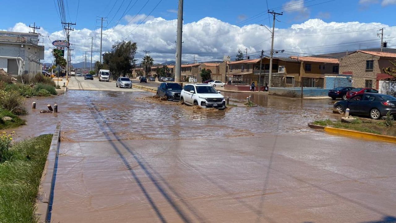 Foto: Marco Flores/ Baja News