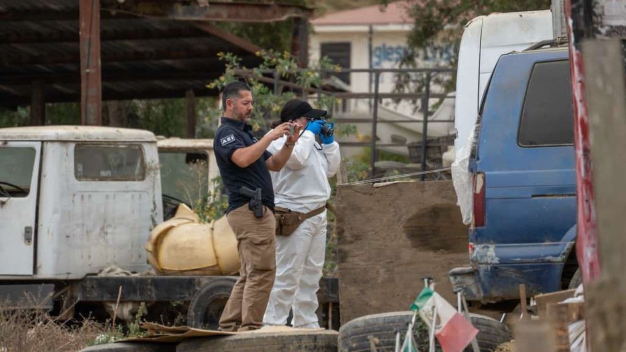 Foto: Border Zoom/Baja News