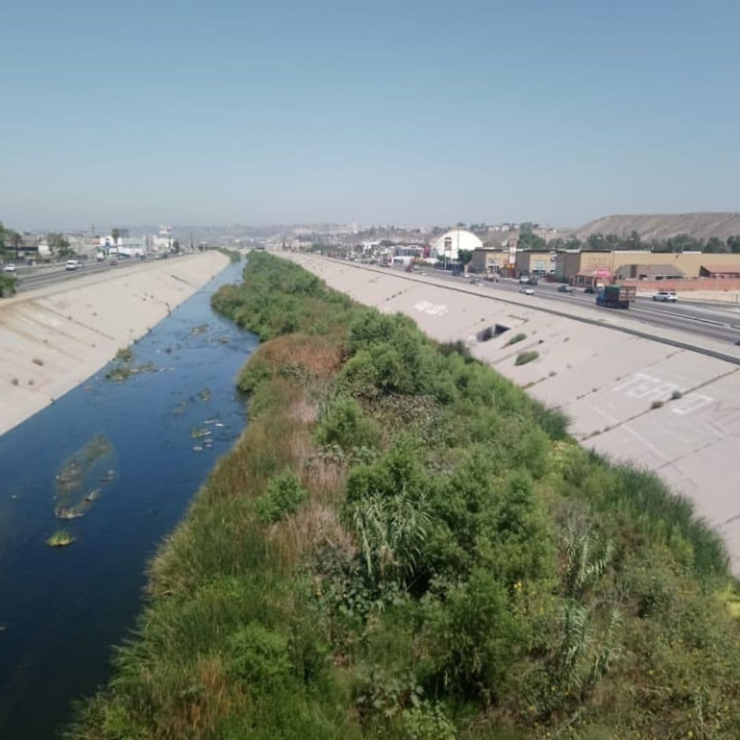 Familia de Angola es recatada del río Tijuana. FOTO: WEB