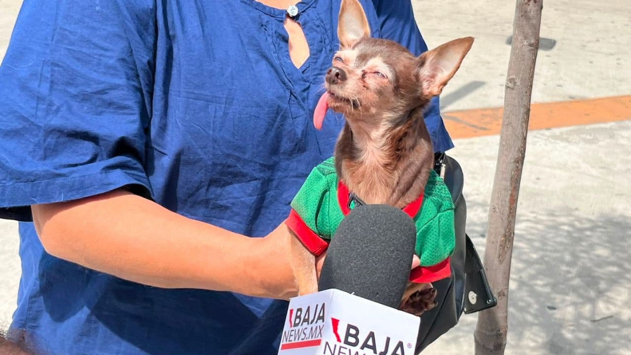 Foto: Miguel Santiago/Baja News