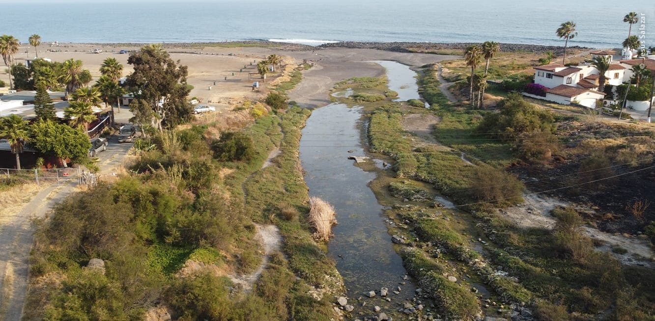 Foto: Baja News