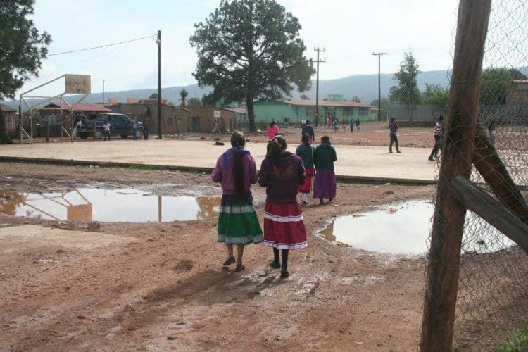 Foto: Cortesía