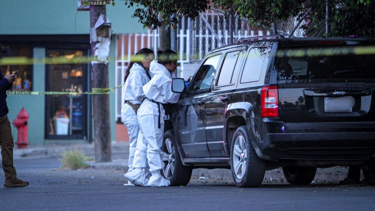 Fotos: Border Zoom/Baja News