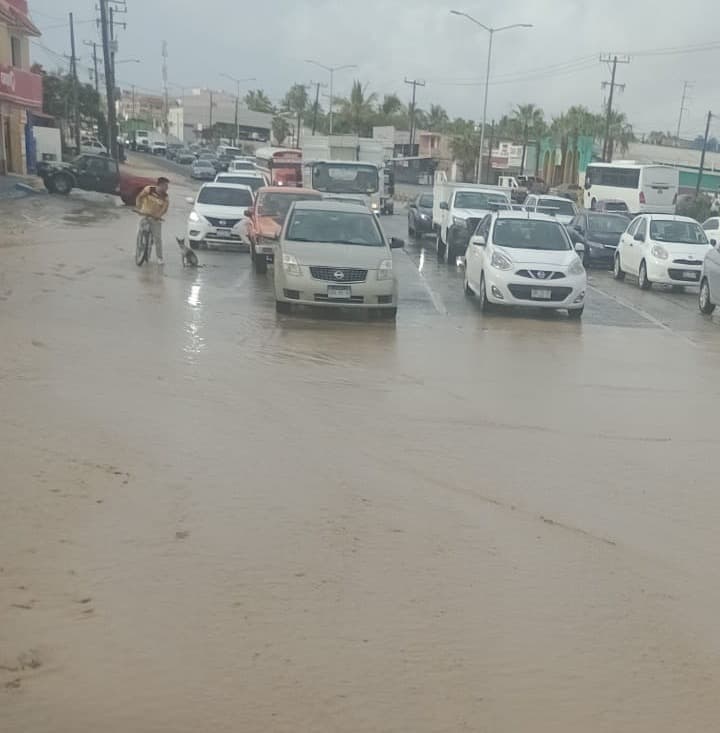Foto: Cortesía