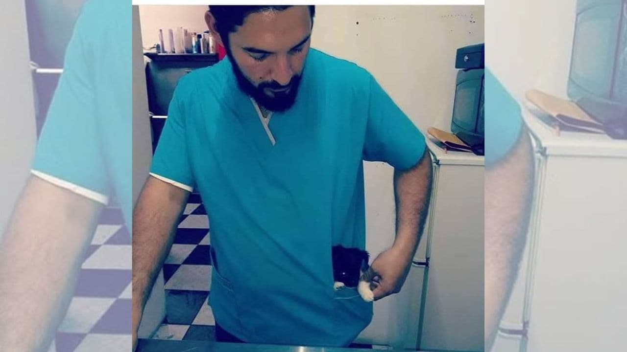 Foto: Cortesía