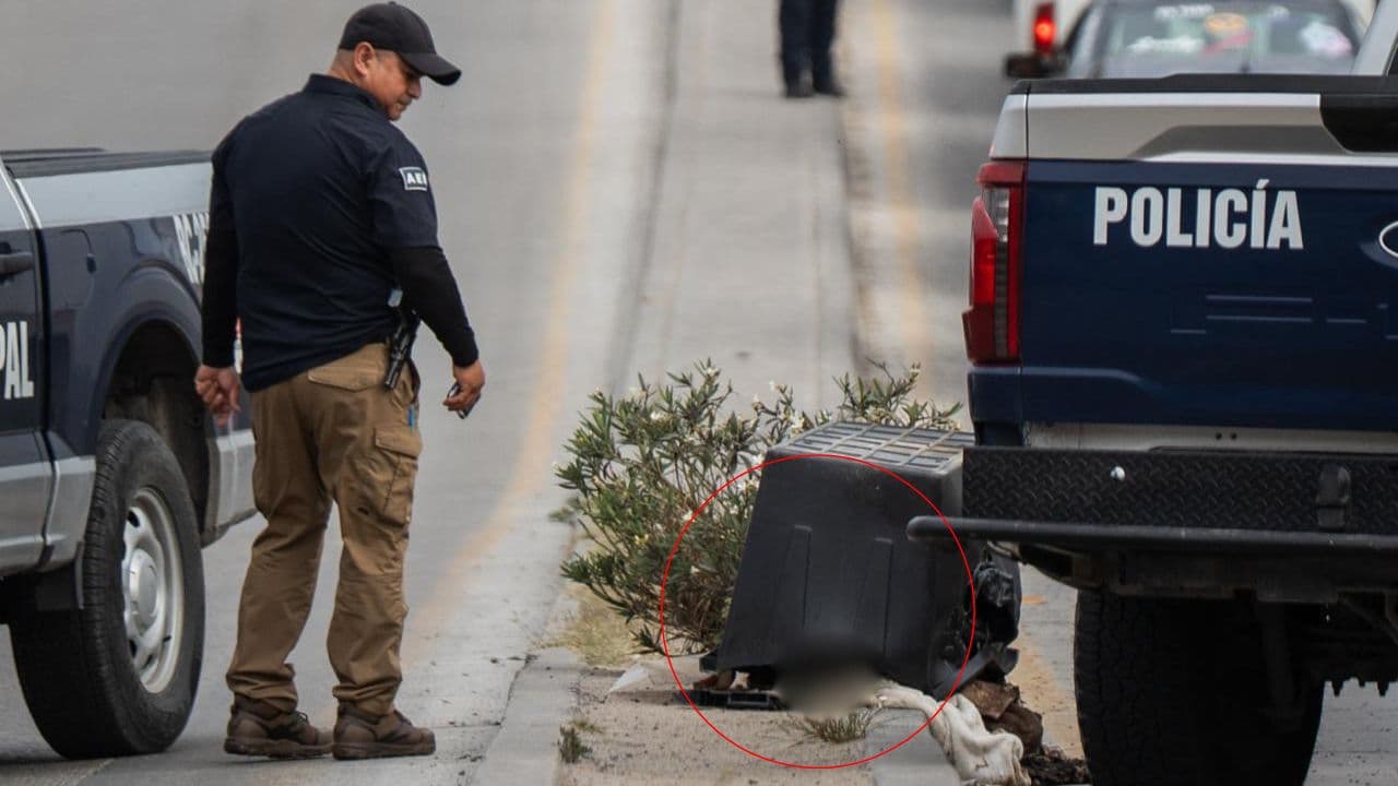 Foto: Border Zoom/Baja News