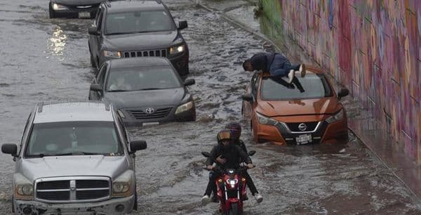 Imagen Cortesía