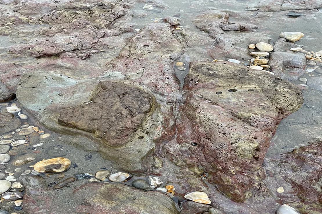 El descubrimiento se realizó en una playa, entre un estacionamiento y un café IFOTO: Imagen de la Agencia Ambiental inglesa.
