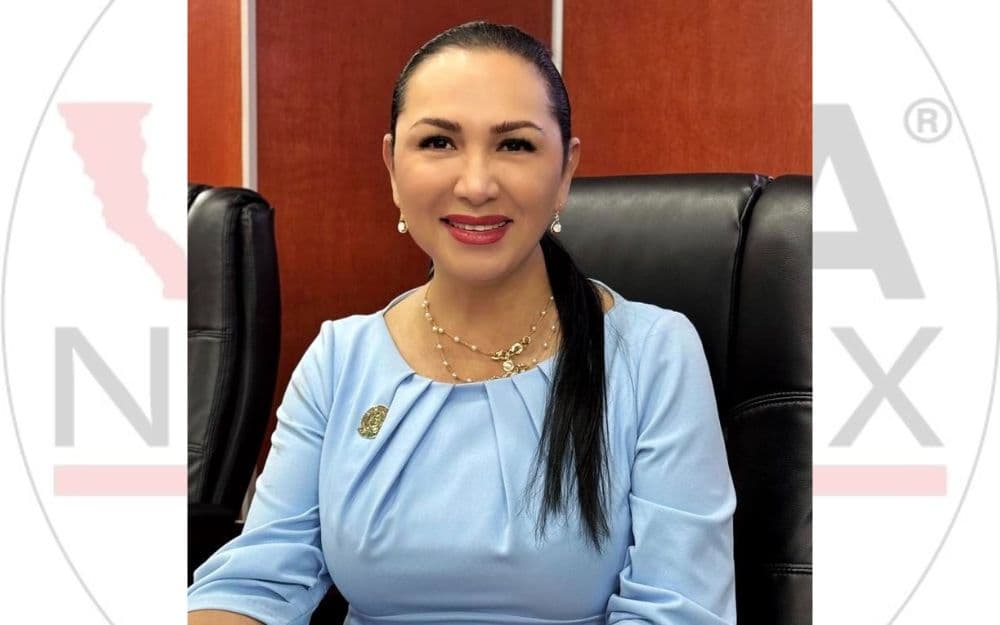 La diputada Araceli Geraldo advirtió que el uso indebido de inteligencia artificial debe ser sancionado para proteger la privacidad y la integridad de las personas.