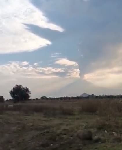 Foto: Cortesía
