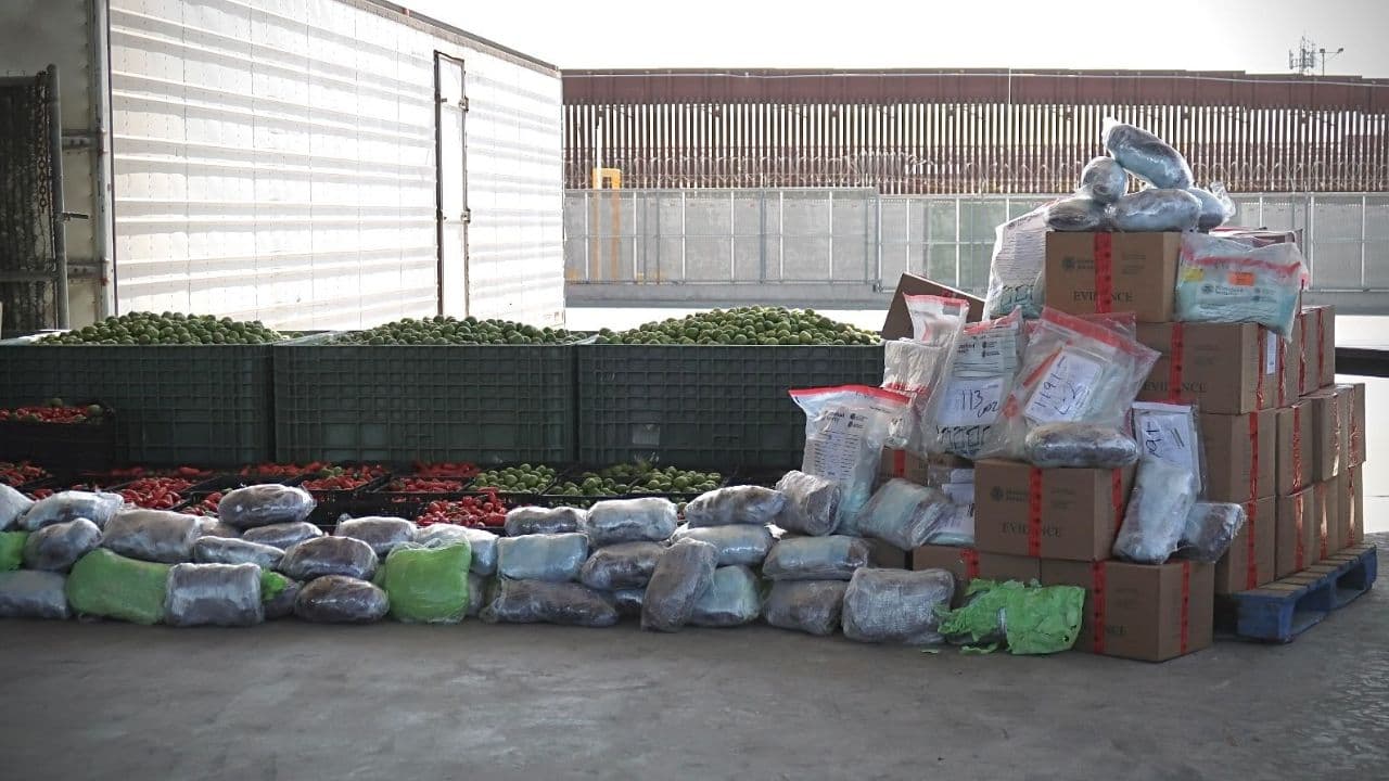 Foto: Border Zoom/Baja News