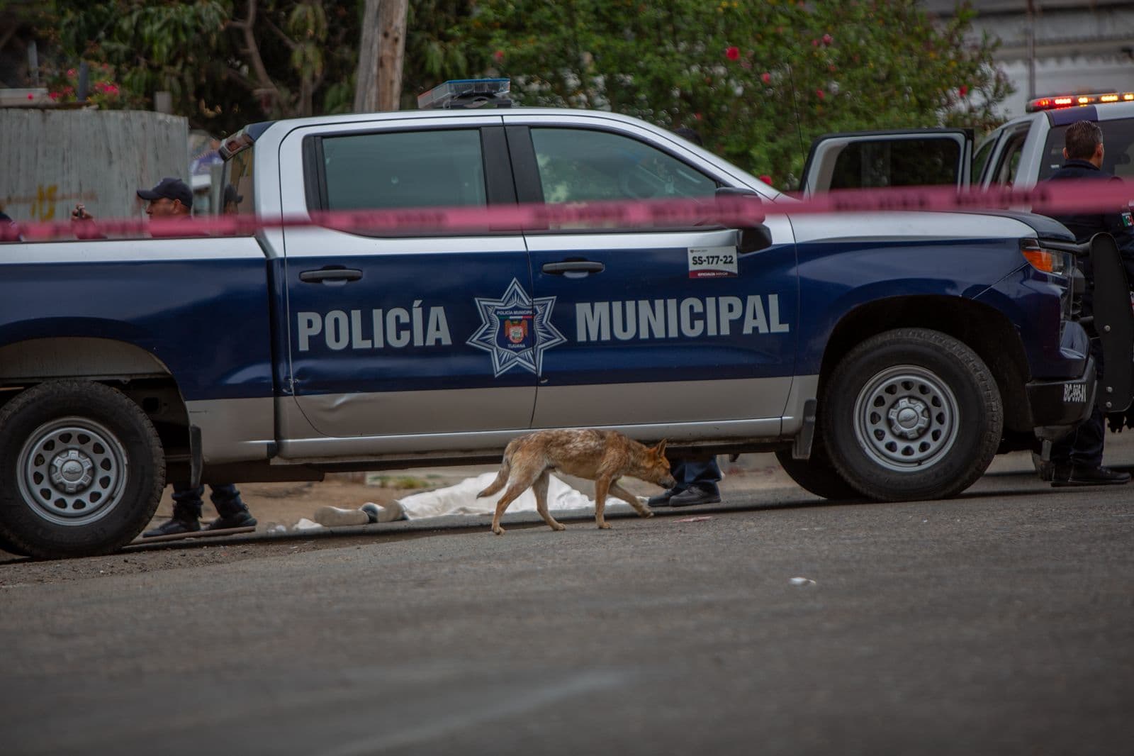 Foto: Border Zoom