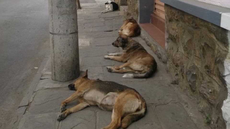 FOTO: Cortesía I BajaNews