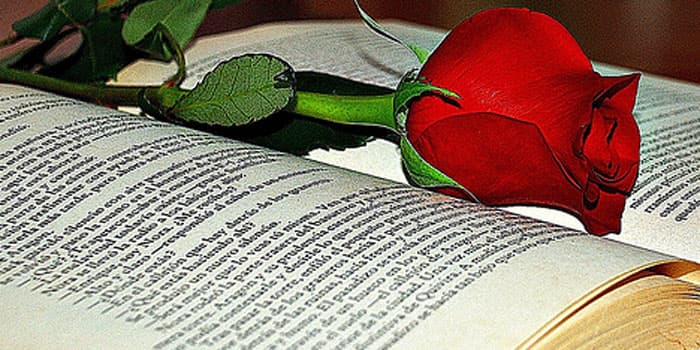 Foto: Web