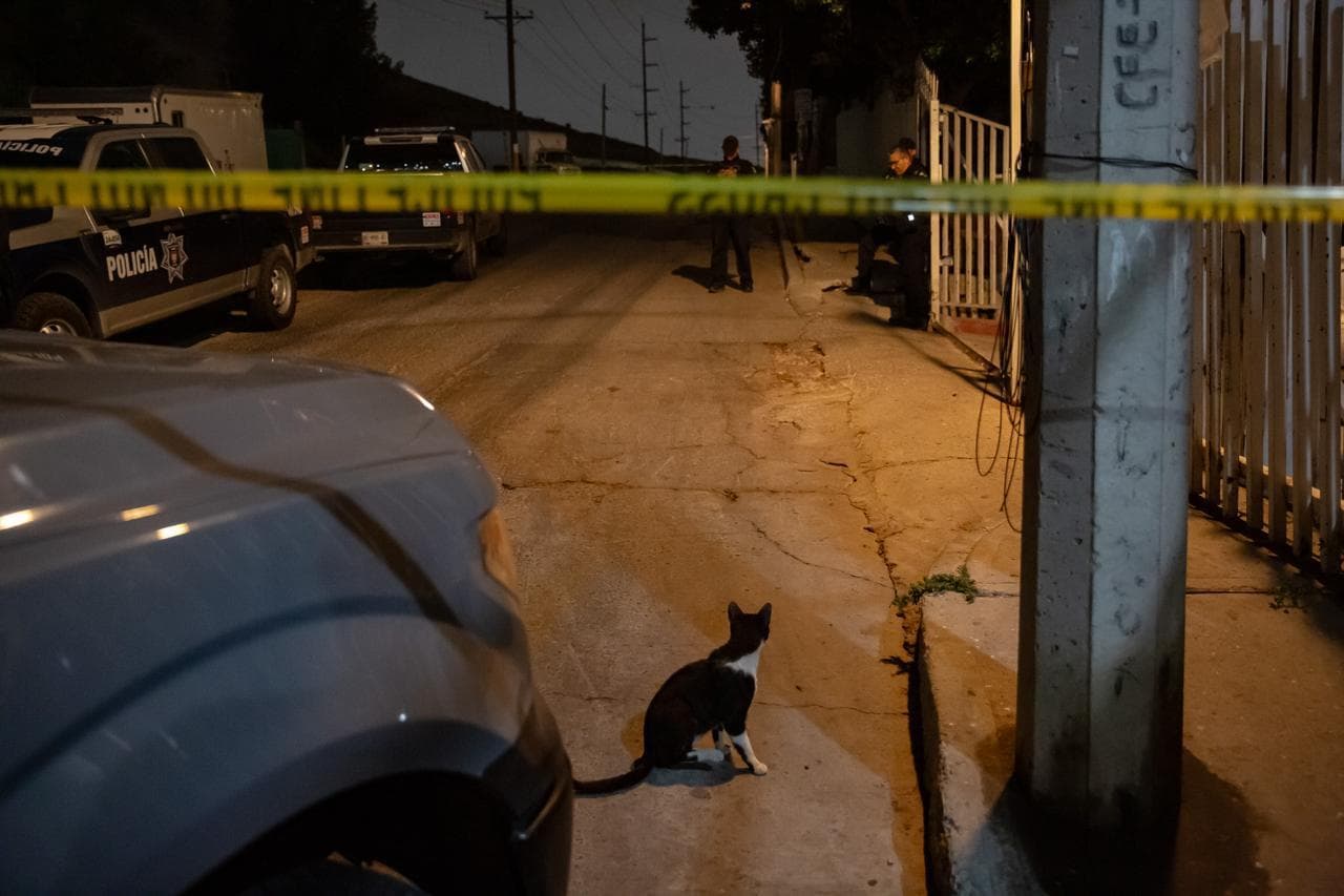 Foto: Boder Zoom/Baja News