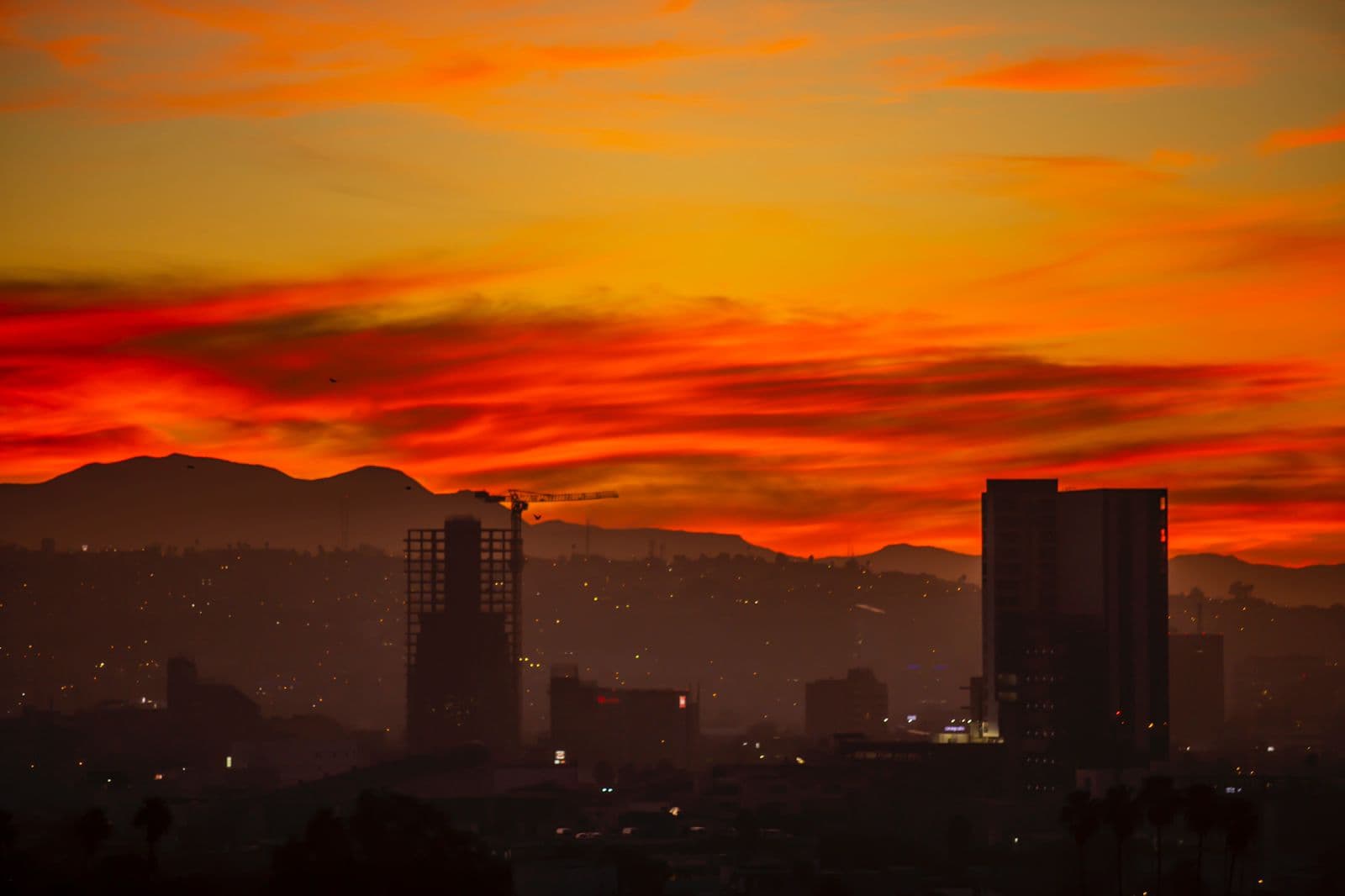 Foto: Omar Martínez