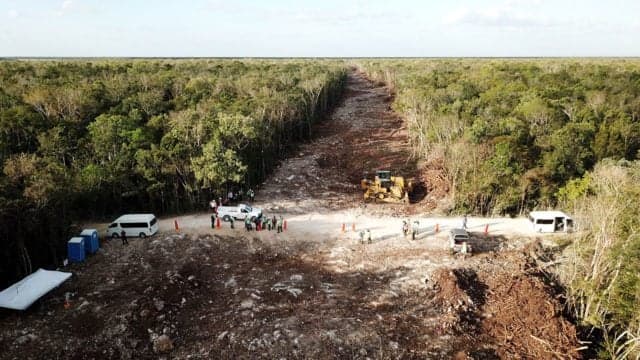 La suspensión señala que debe “paralizarse” cualquier acto de tala o desmonte en los terrenos que comprenden el Tramo 5 Sur y 5 Norte del Tren Maya, hasta resolver de fondo el amparo promovido por habitantes en esa región