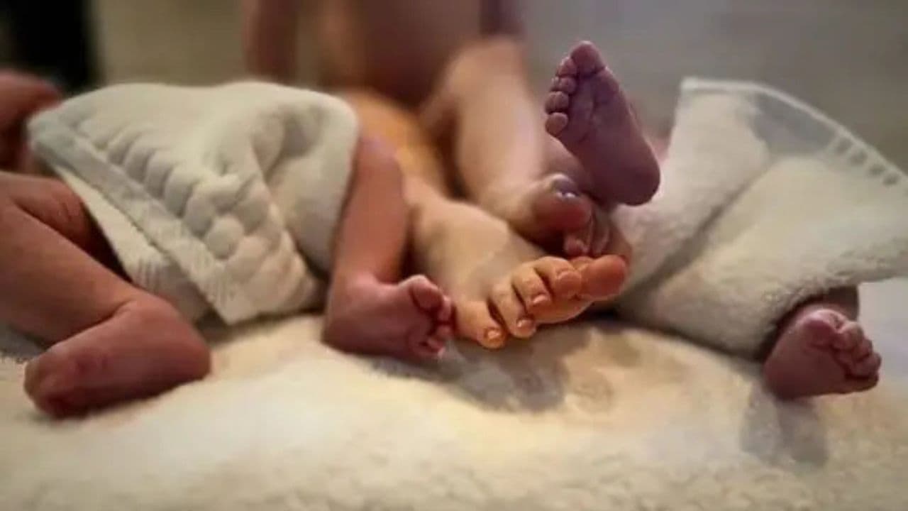 Foto: Web
