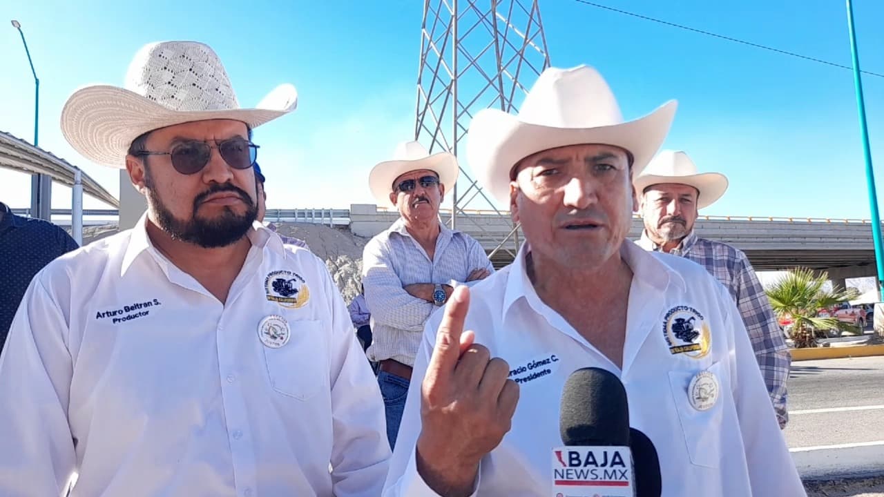 Foto: Jesús Sánchez/Baja News