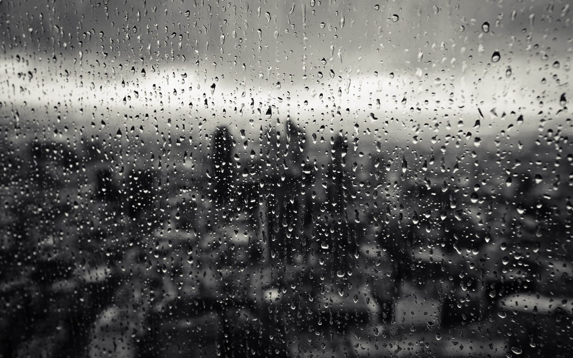 Foto: Cortesía
