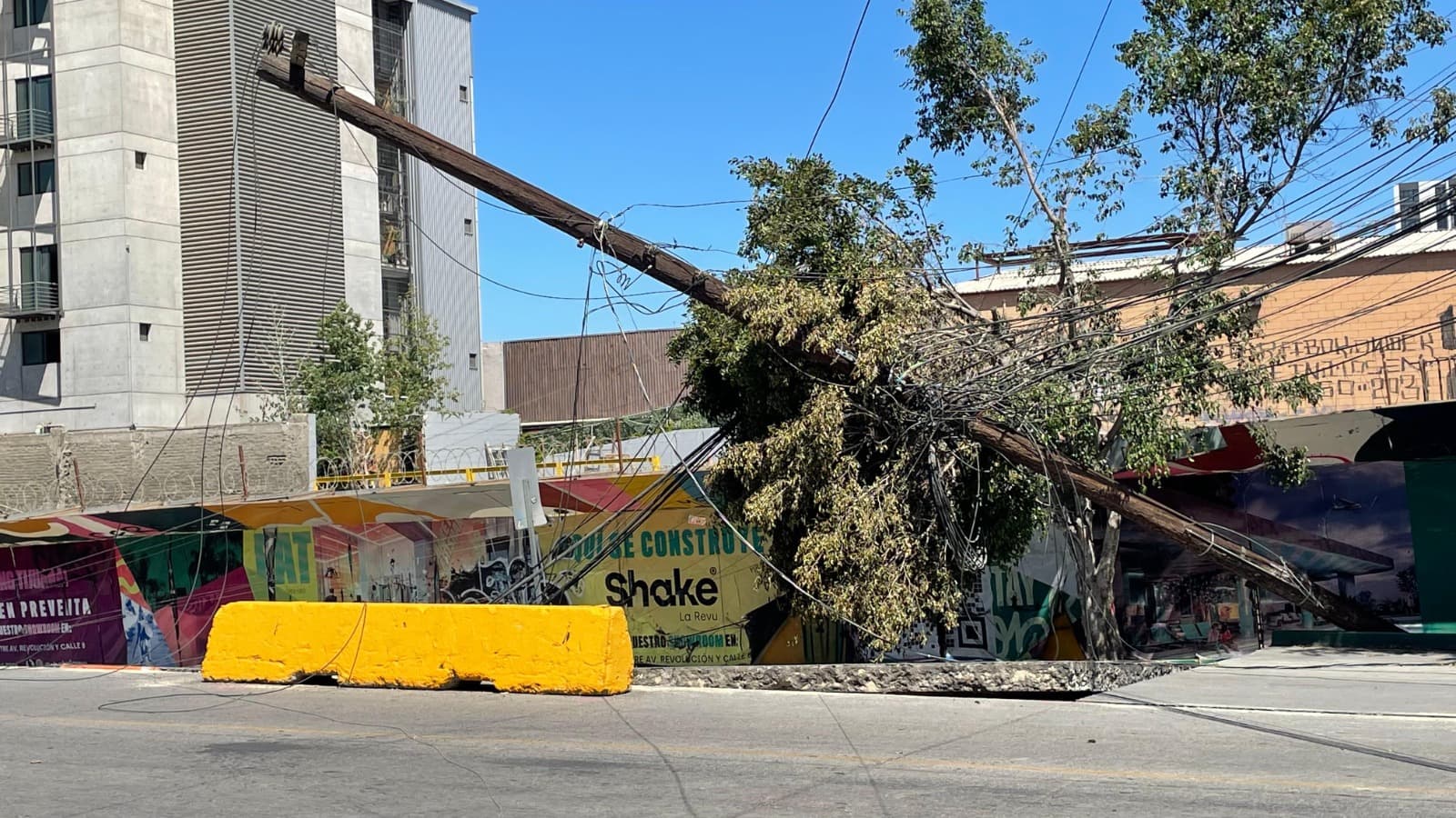 Foto: Miguel Santiago/Baja News