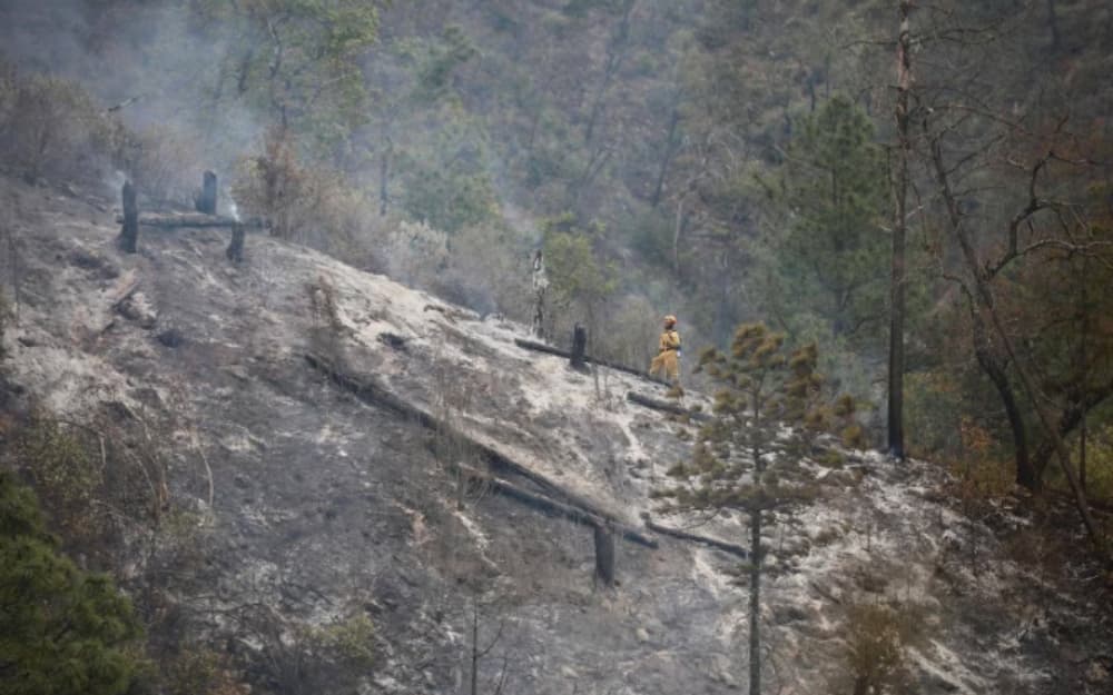 Un vehículo con 16 personas a bordo se desbarrancó e incendió en el kilómetro 14 del camino ubicado en Santiago