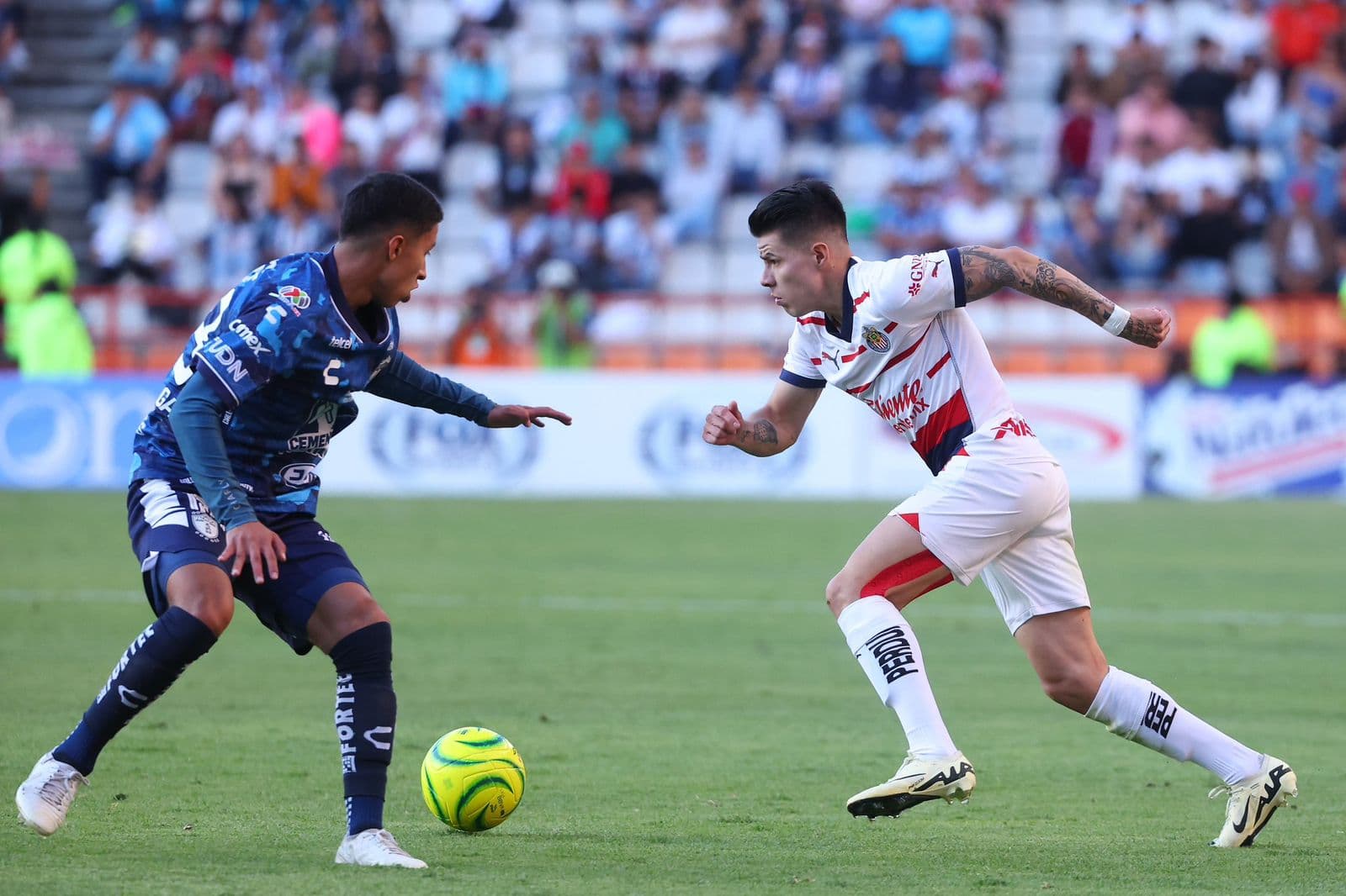 Foto: Cortesía