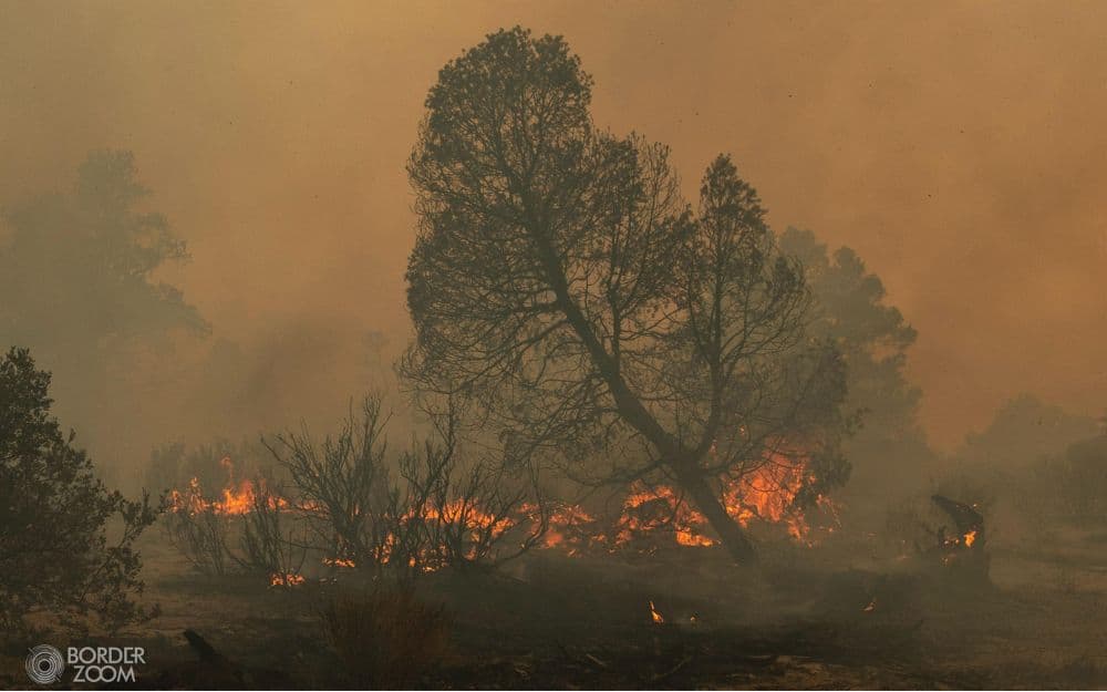 Bomberos y brigadistas combaten las llamas en la zona montañosa de La Rumorosa, donde el fuego ha consumido viviendas y más de 12 mil hectáreas de vegetación.