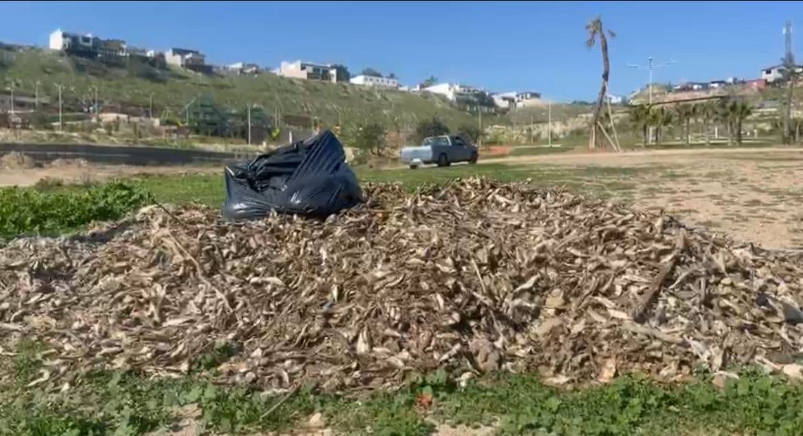 Foto: Baja News