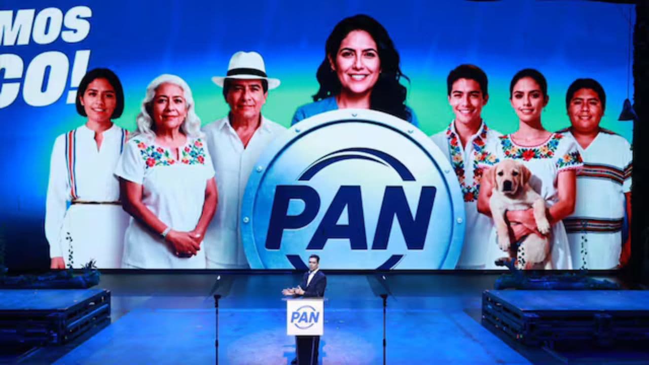 Fotos: web