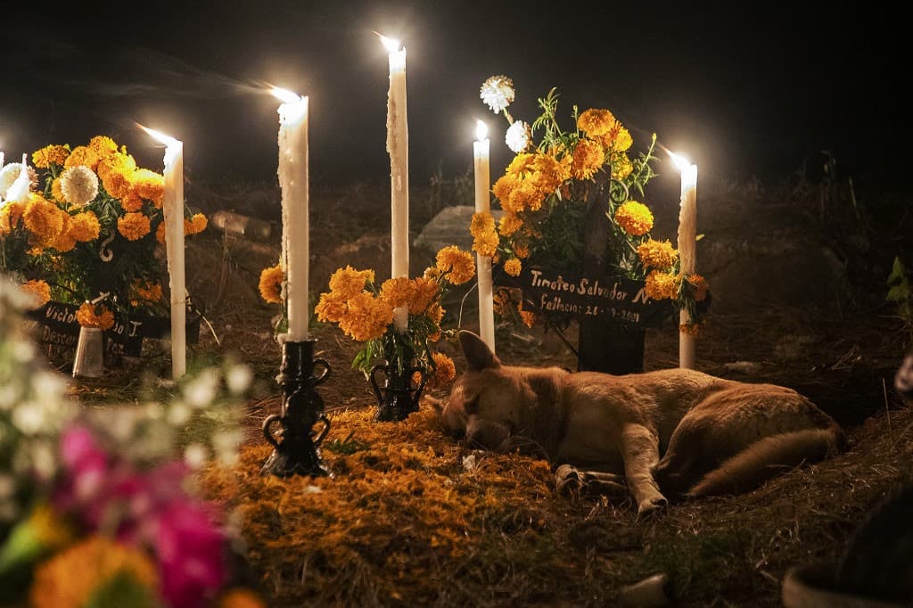 Foto: ENRIQUE CASTRO / AFP