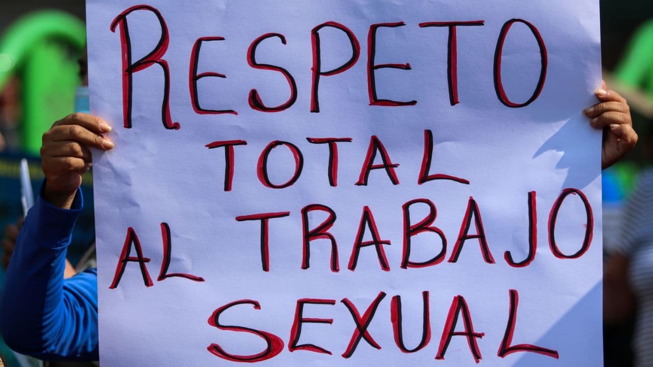 Fotos: web