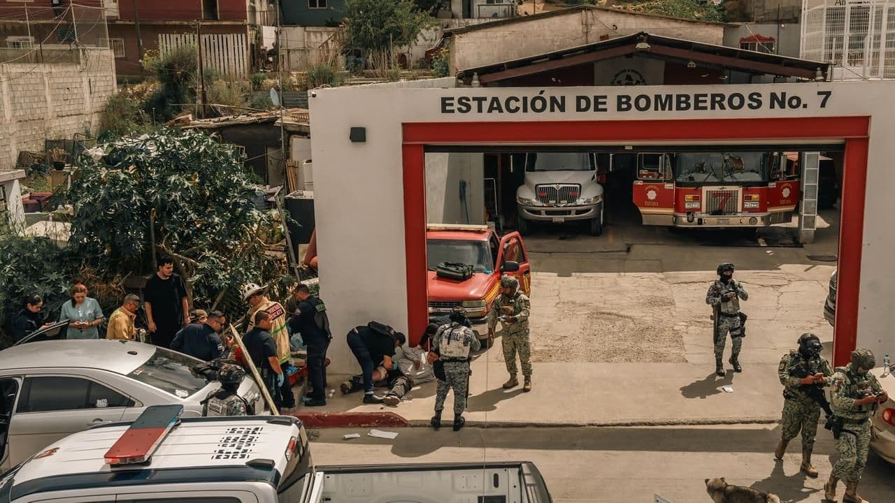 Fotos: Border Zoom