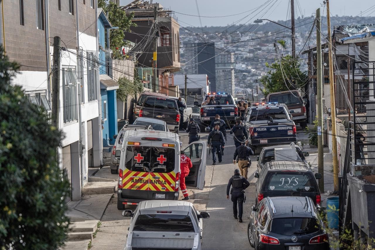 Fotos: Border Zoom