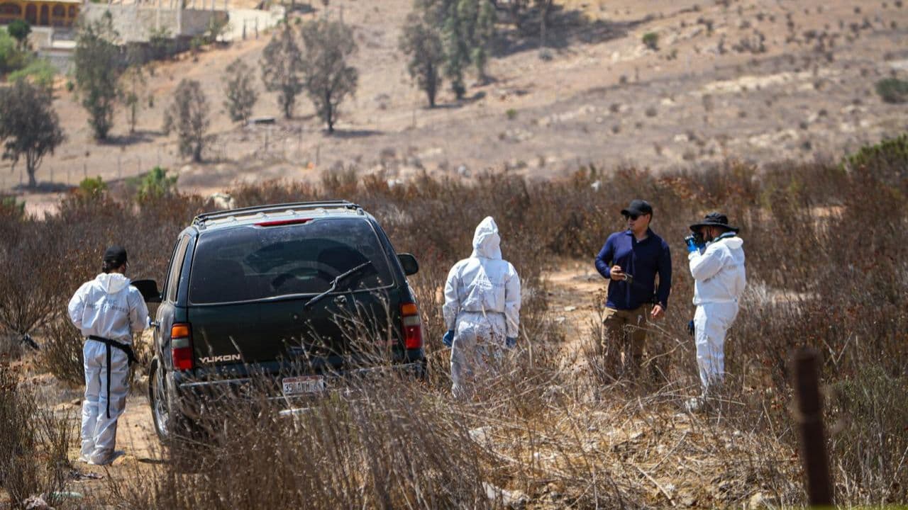 Fotos: Border Zoom/Baja News