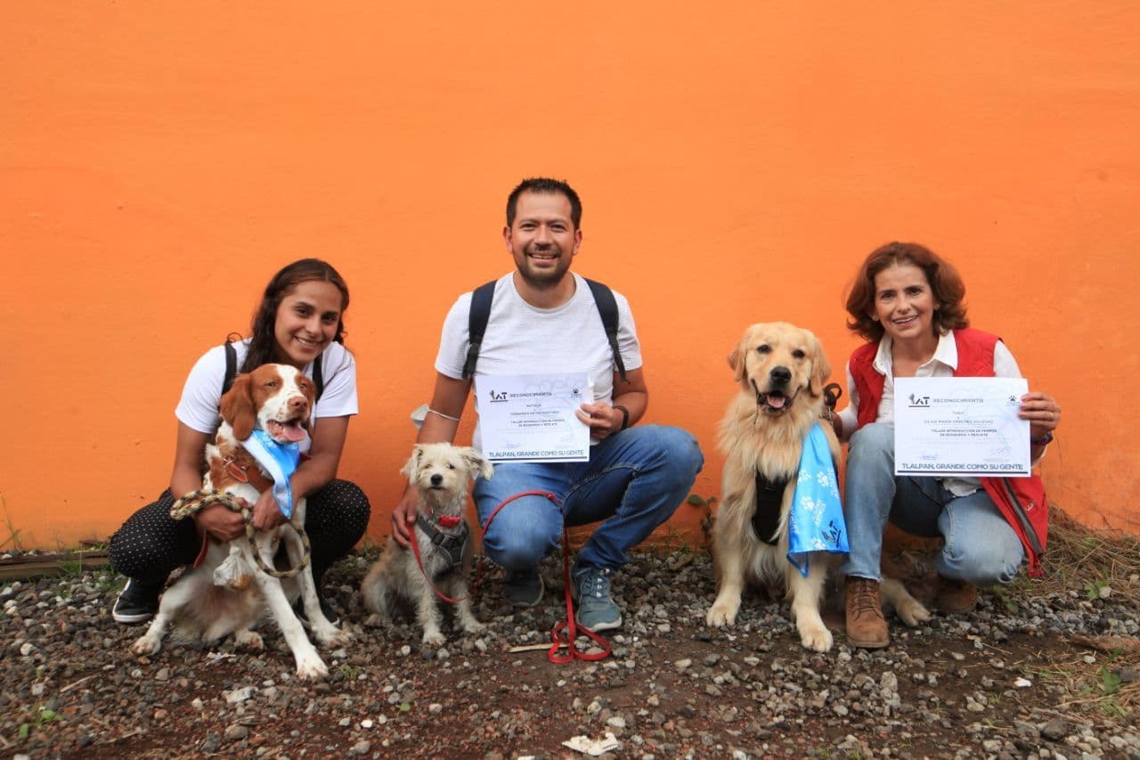 PERRITOS GRADUADOS  IFOTO: ALCALDÍA TLALPAN