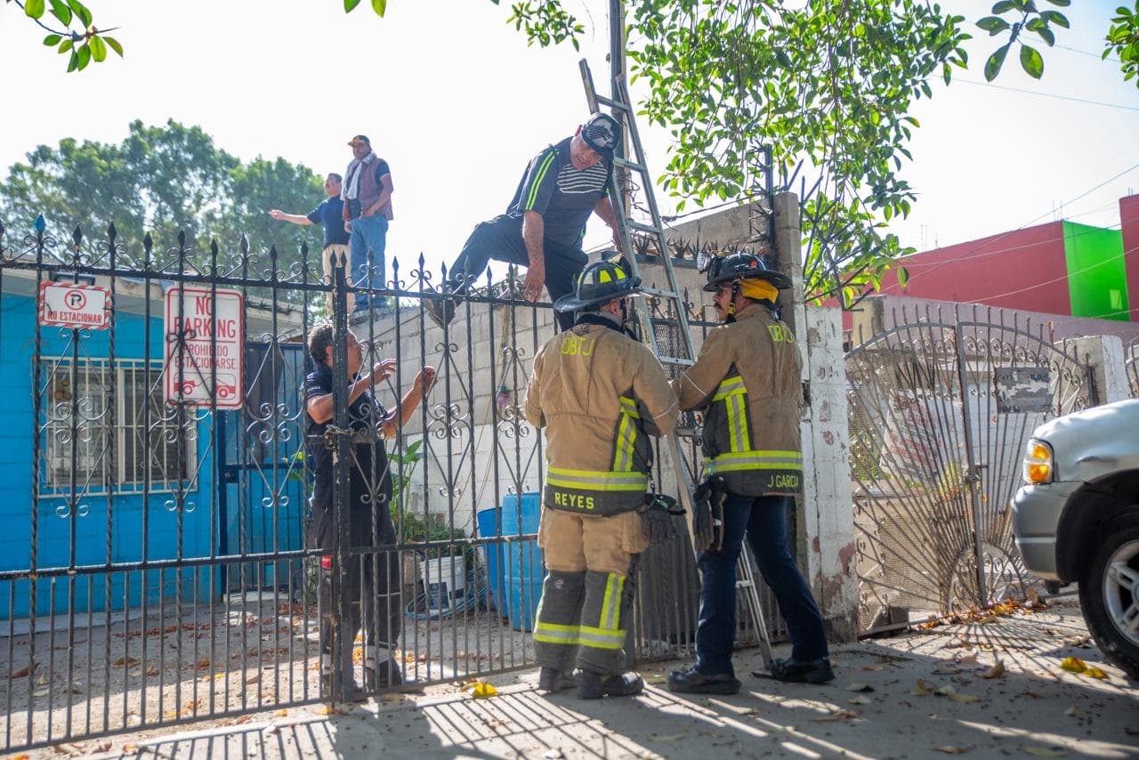 Foto: Border Zoom/Baja News